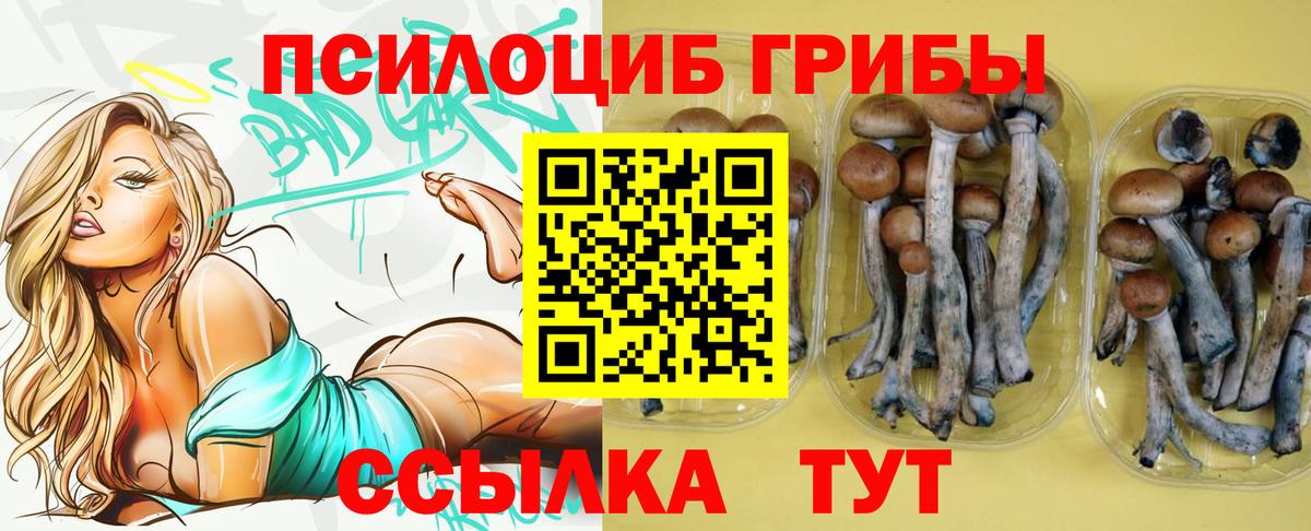 Псилоцибиновые грибы мухоморы Усолье-Сибирское