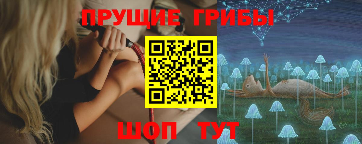 Псилоцибиновые грибы Усолье-Сибирское